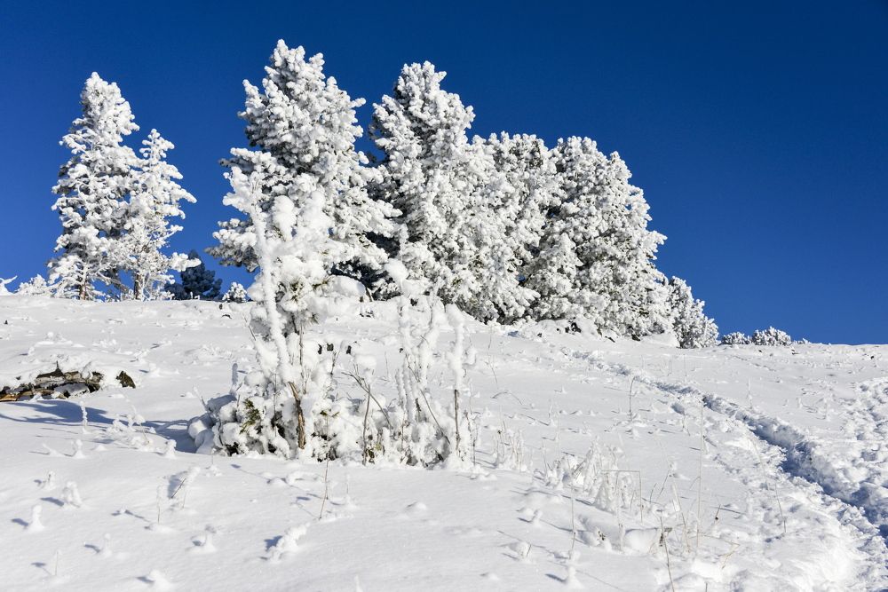 Photograph by Валентин Казанцев