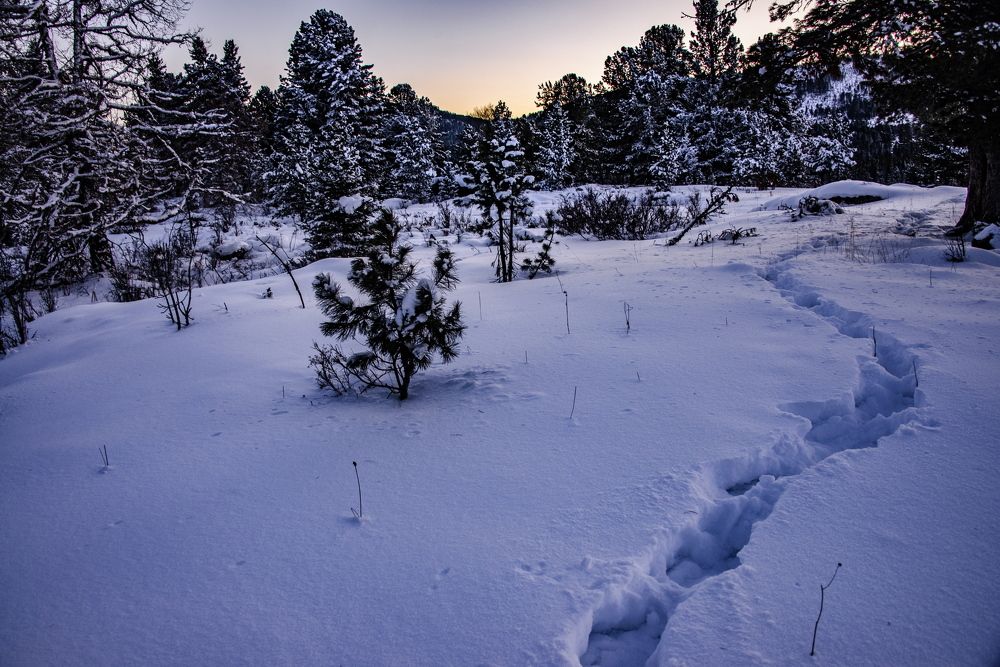 Photograph by Валентин Казанцев