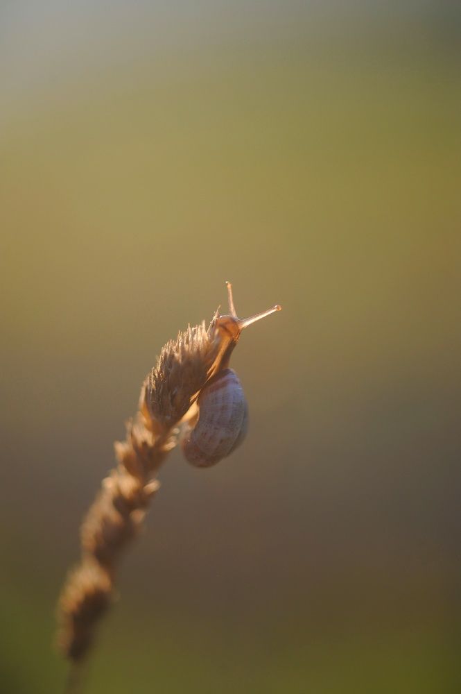 Photograph by Francesca Fiorenzoni