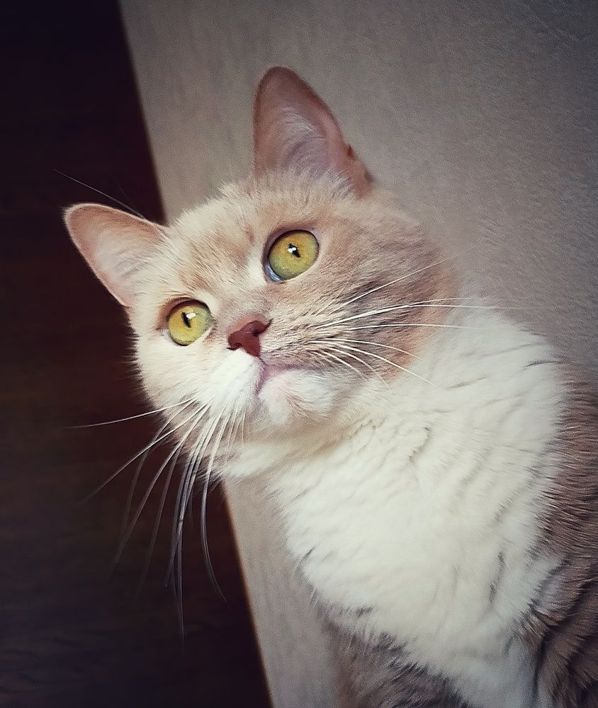 Photograph by Ольга Мартьянова