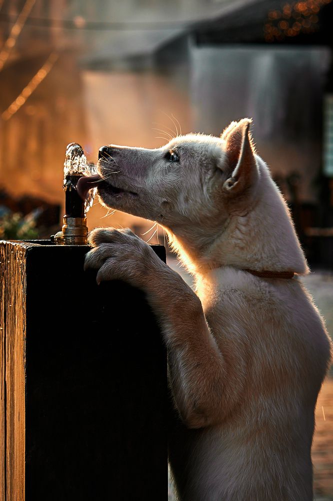 Photograph by Владислав Данилов