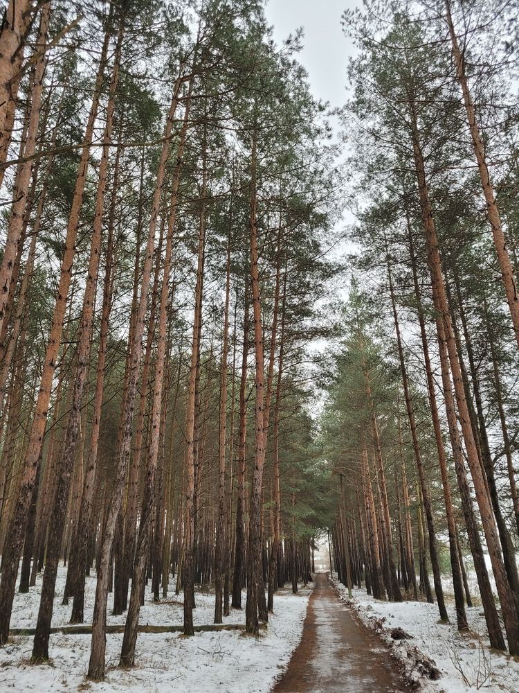 Фотография автора Ina Kuktelioniene