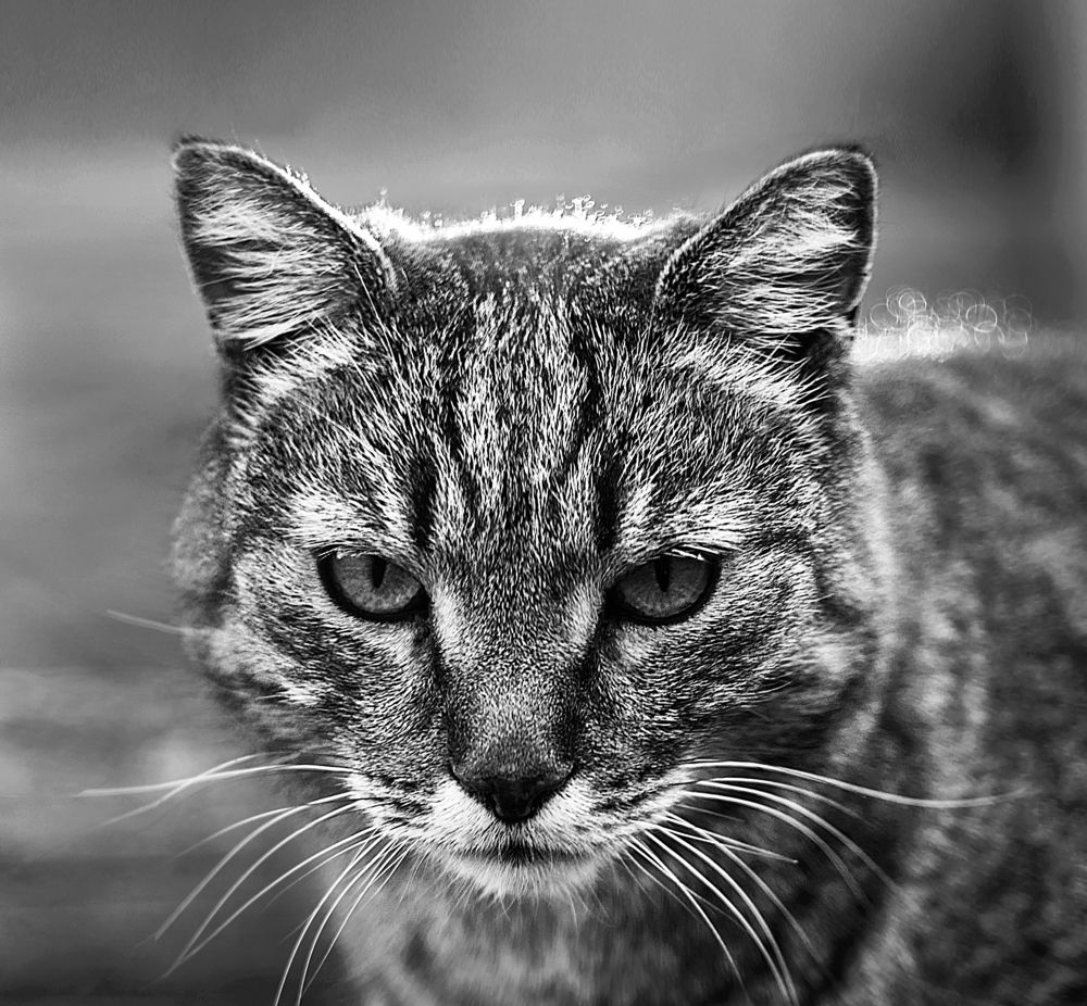 Photograph by Щербакова Юлия