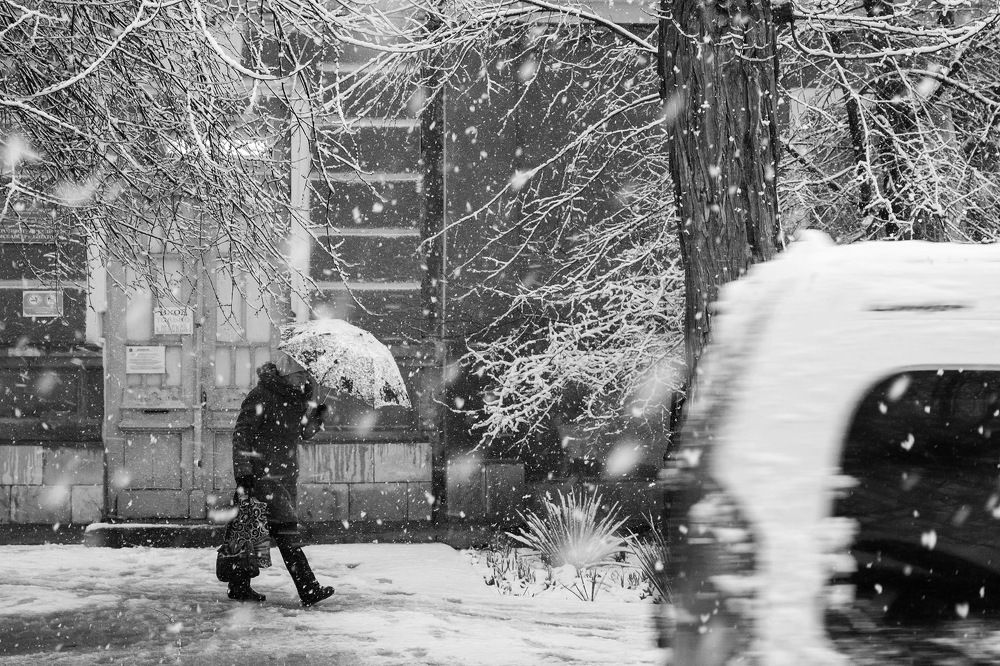 Photograph by Елена Покрепа