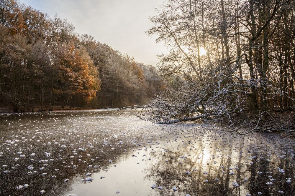 Photograph by Елена Покрепа