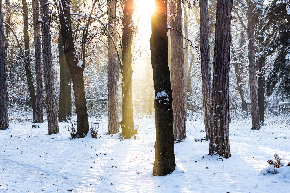 Photograph by Radoslav Bonev