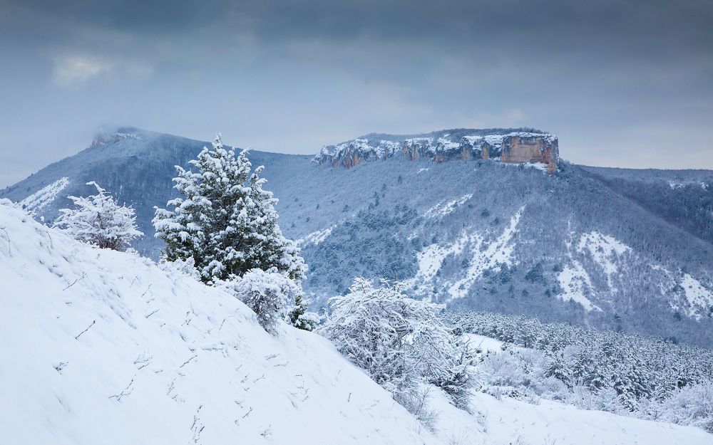 Photograph by Елена Покрепа