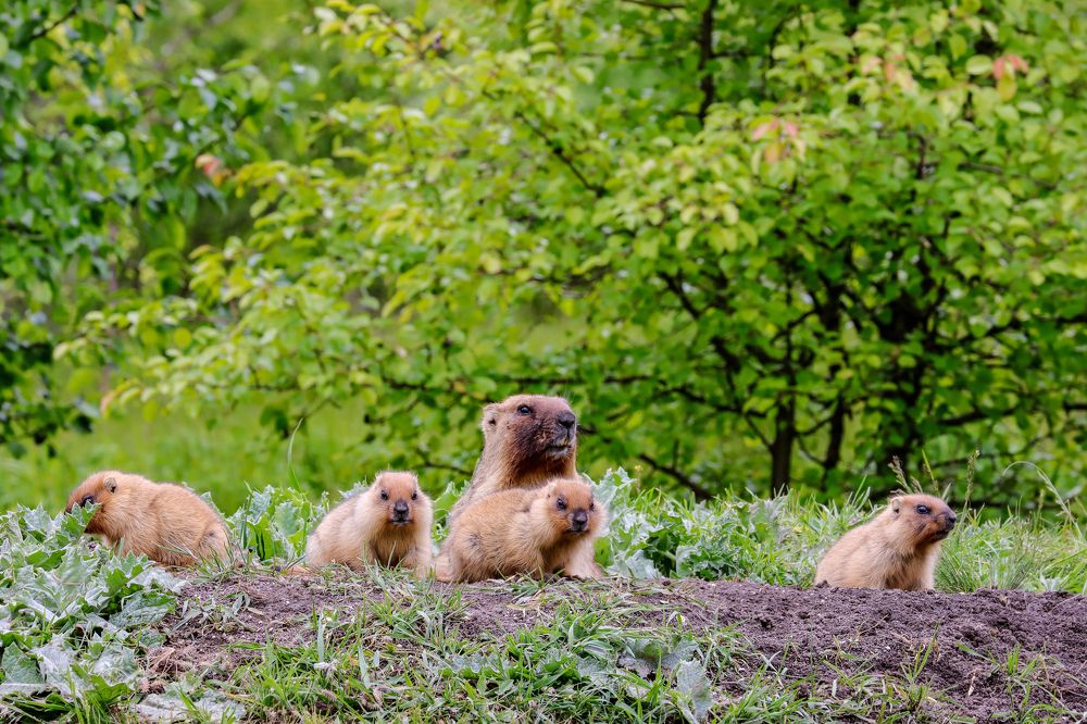 Photograph by Юлия Черкасова