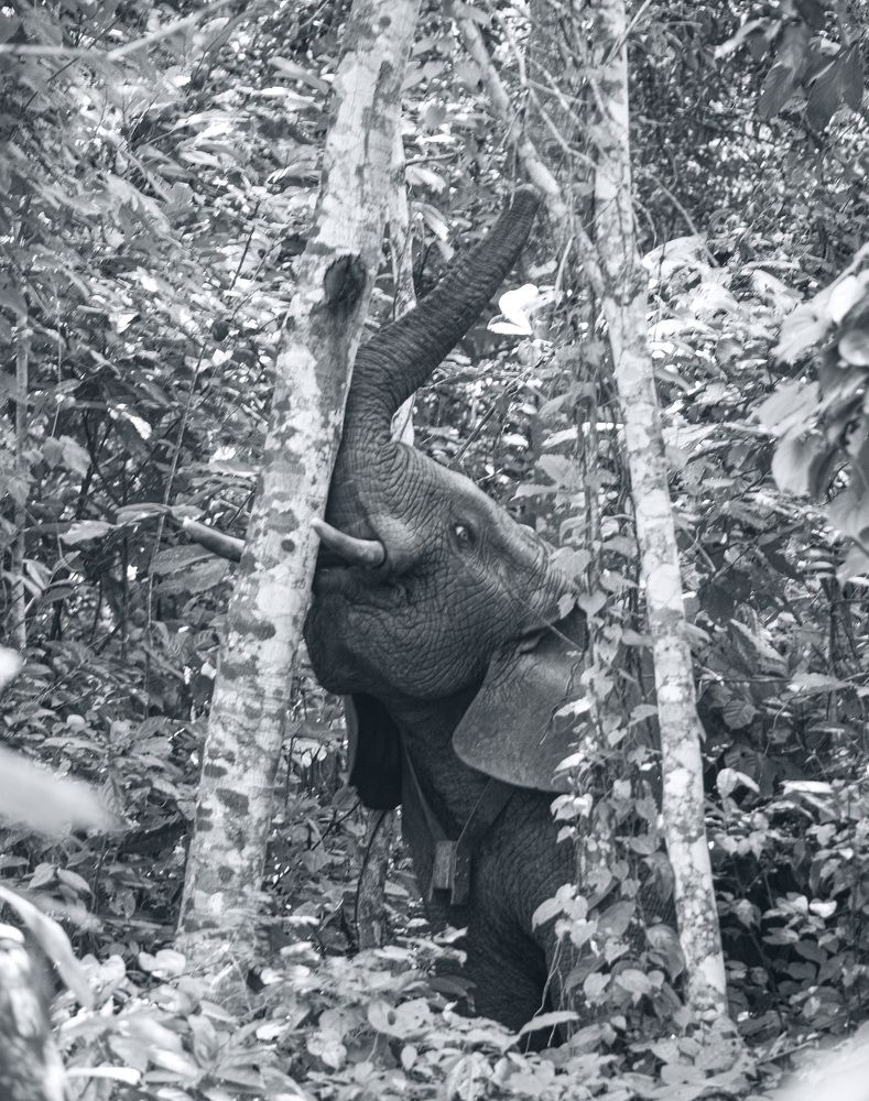 Photograph by Nishuli Mcdonald