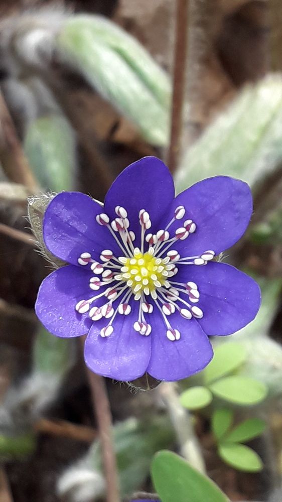 Photograph by Татьяна