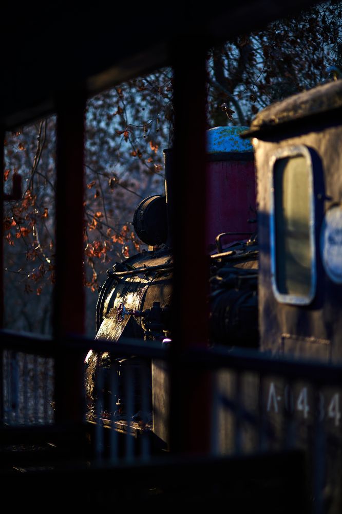 Photograph by Владислав Данилов