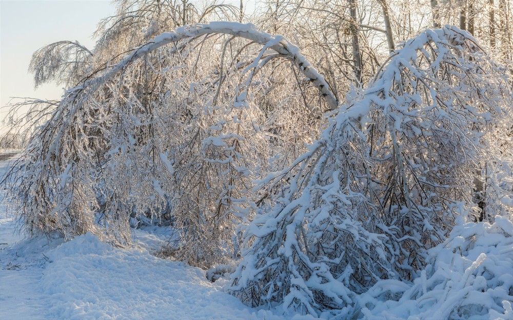 Photograph by константин