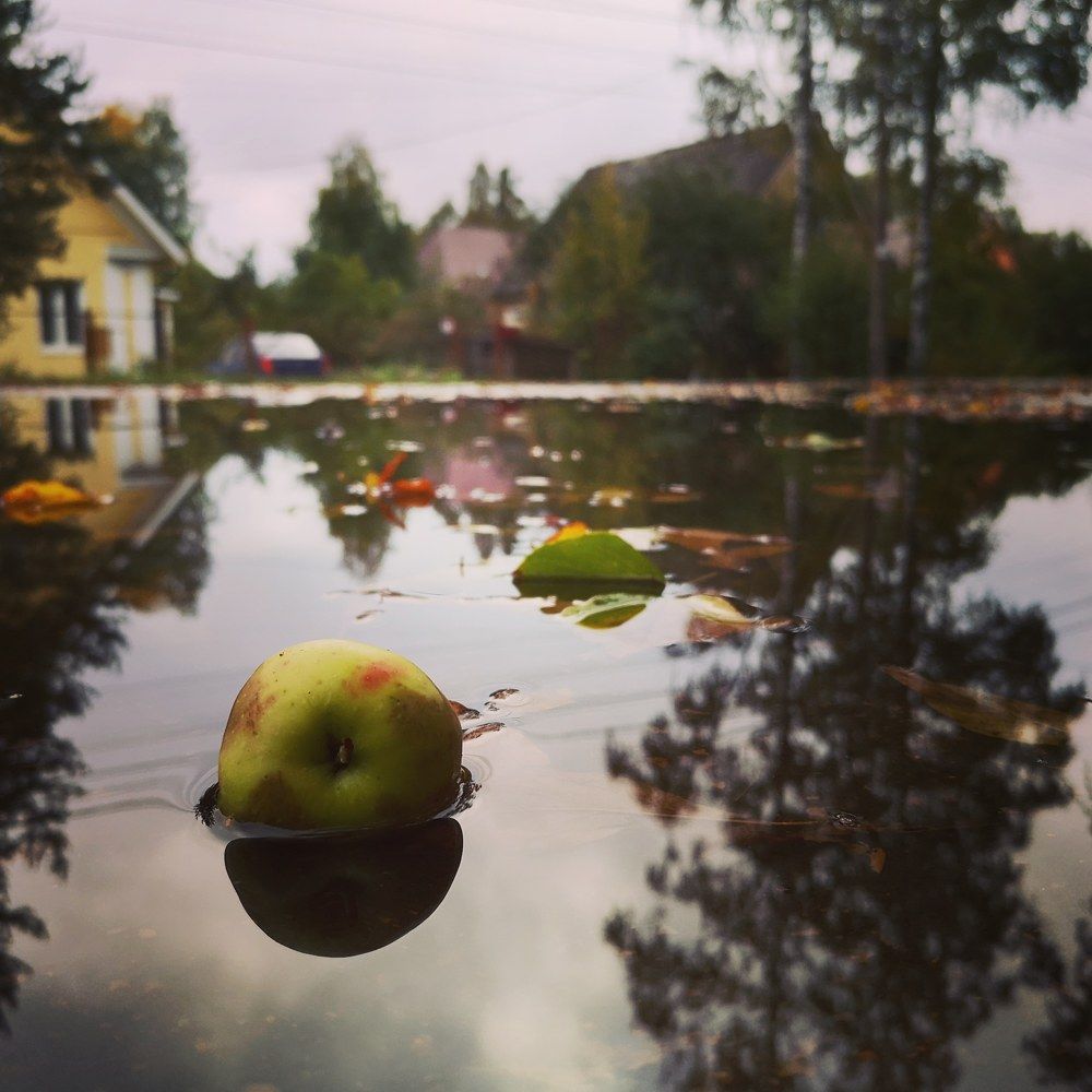Photograph by Евгения
