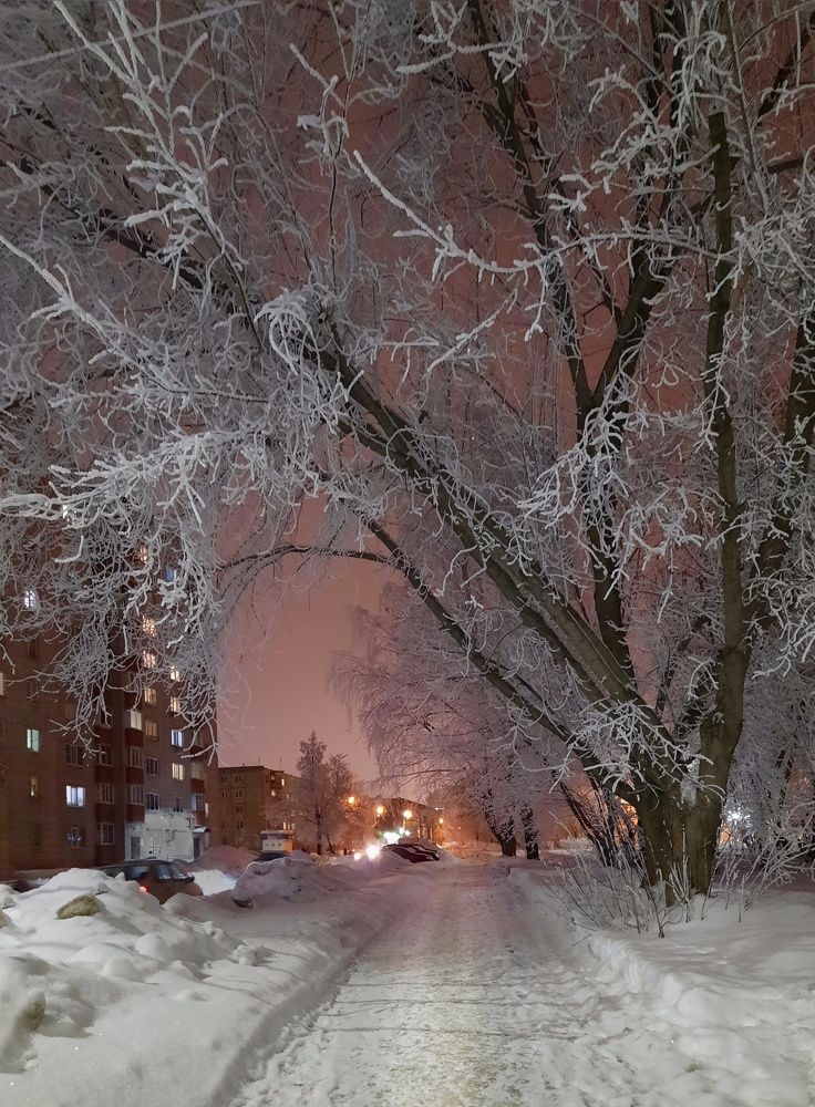 Фотография автора Ольга Кунакова