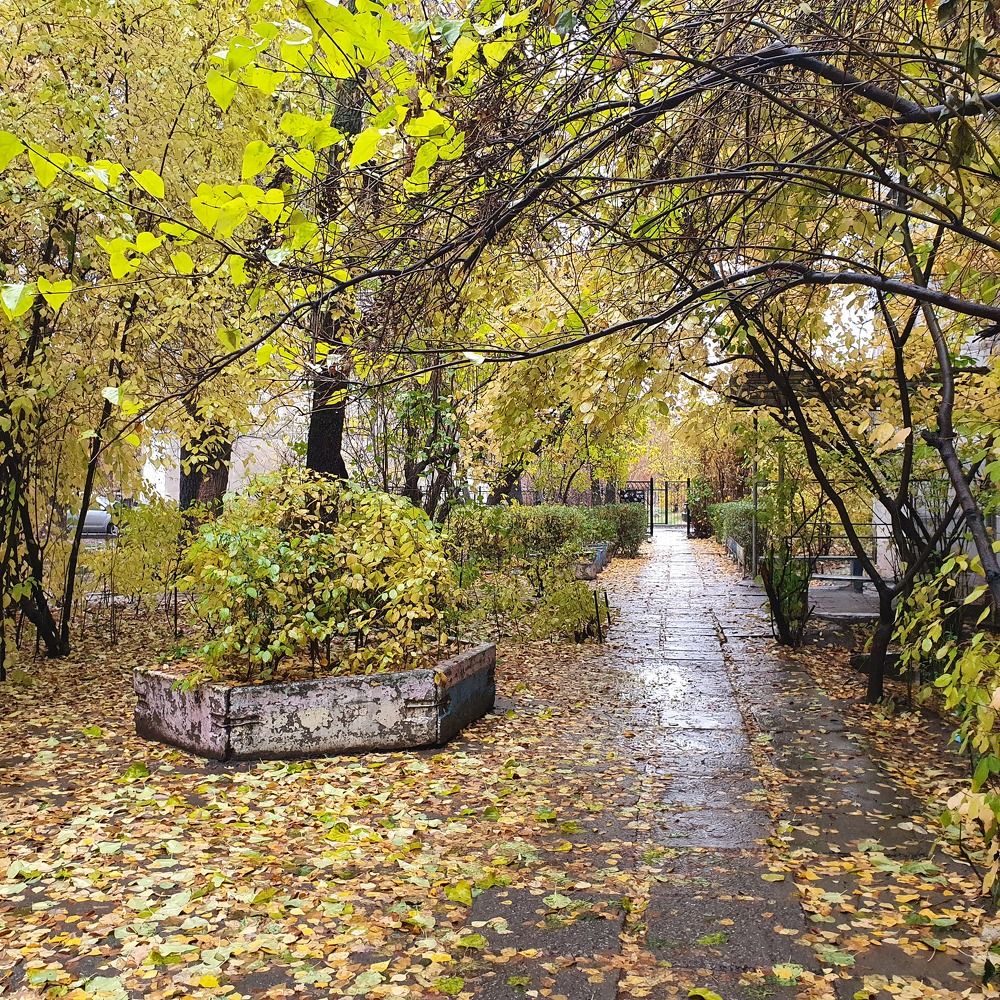 Photograph by Валентина Галич