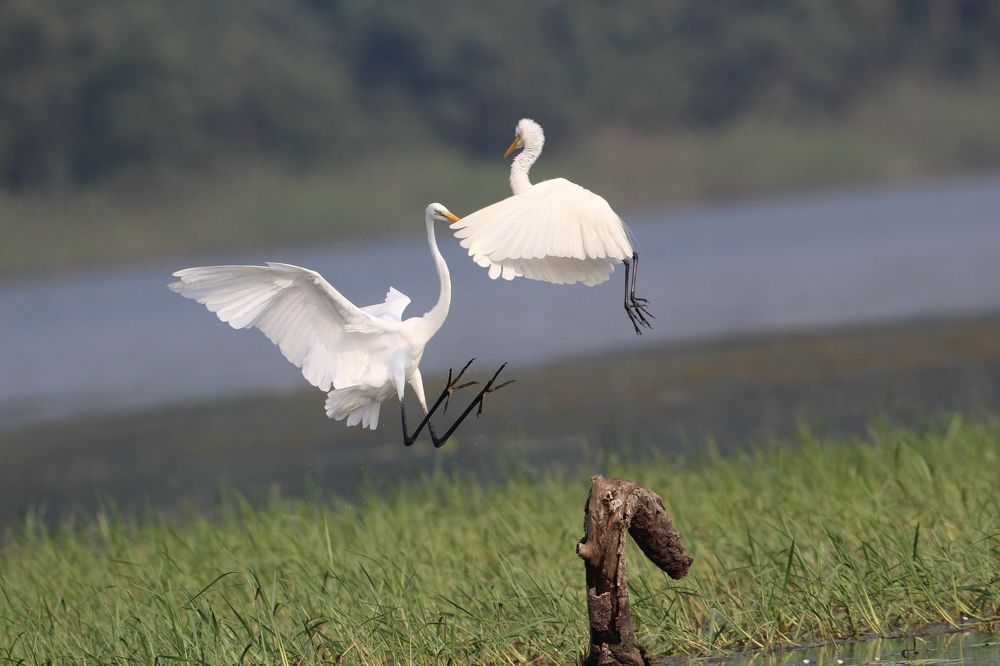 Photograph by Vikram Bahal