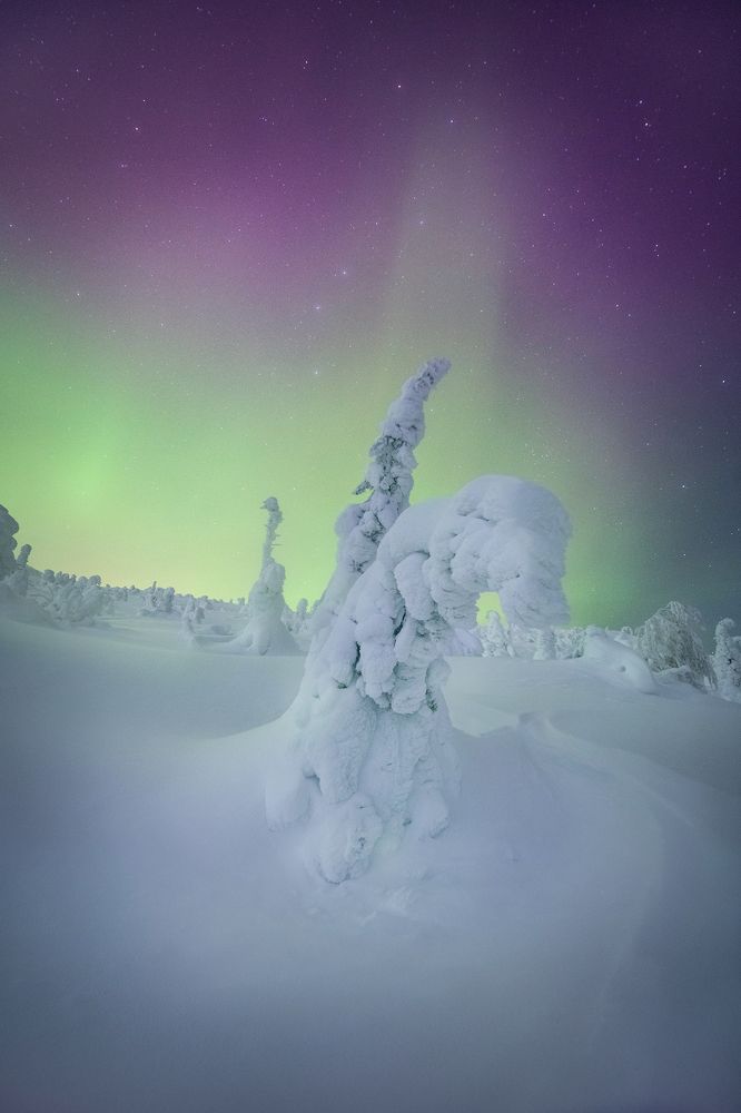 Photograph by Елена Ермолина