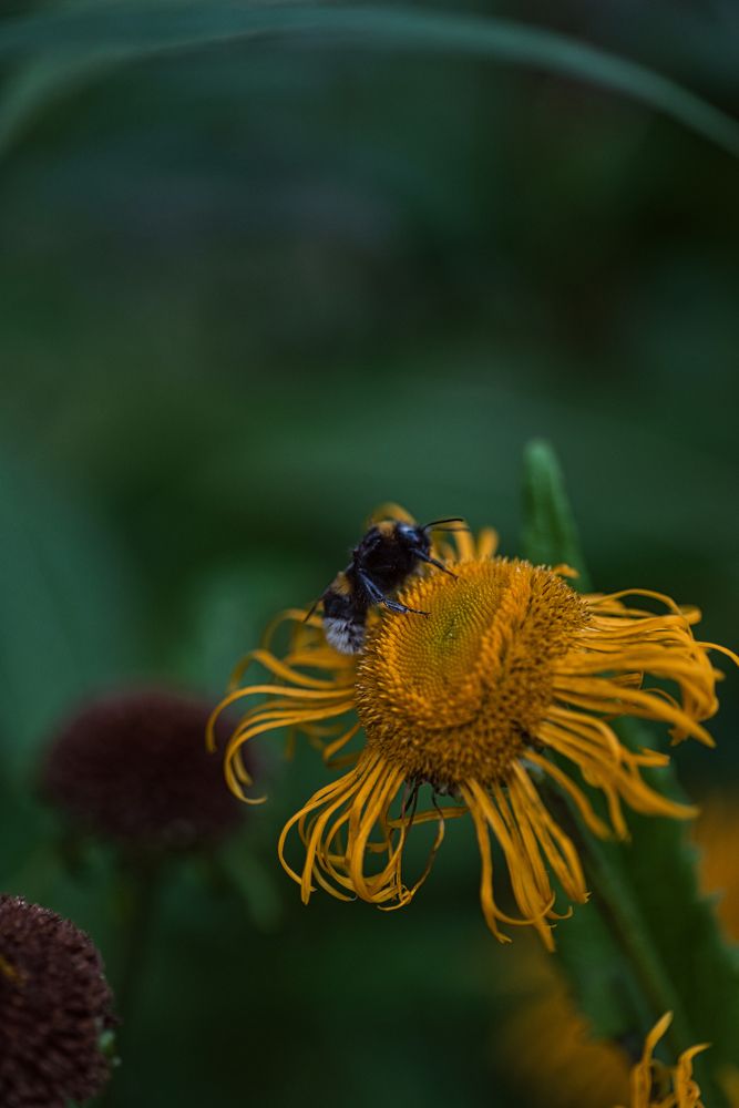 Photograph by Елена Константинова