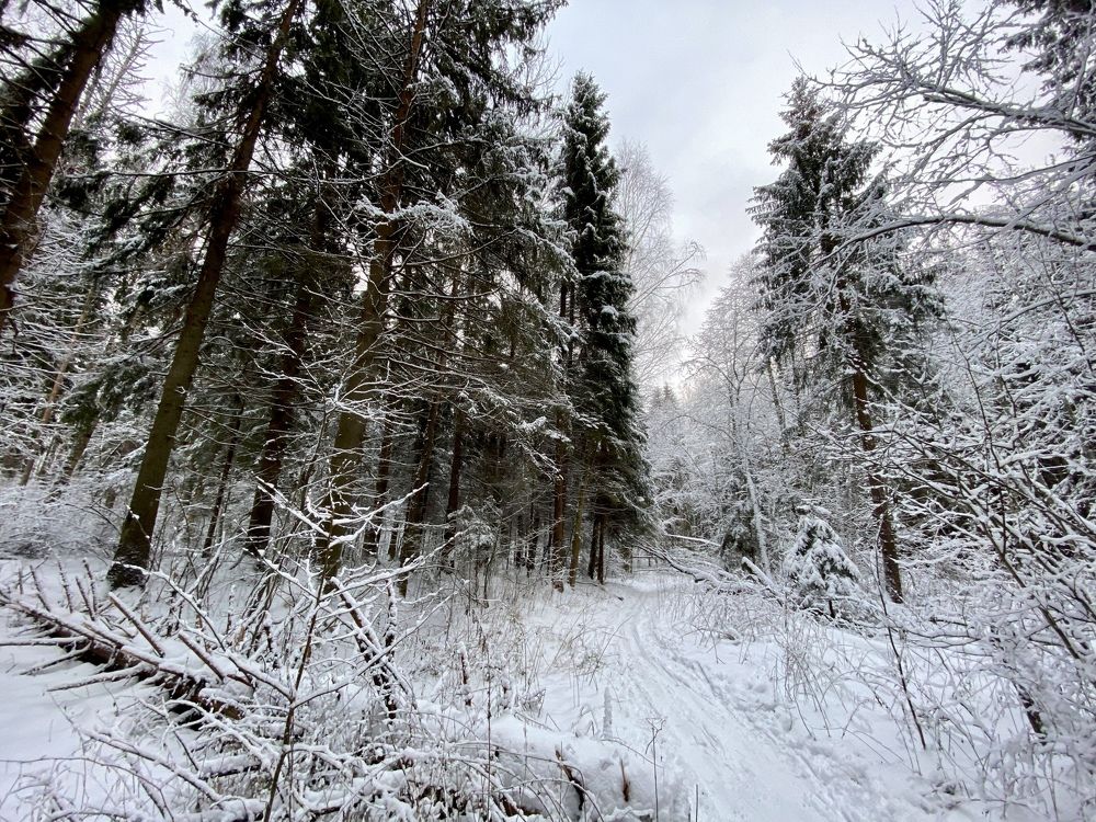 Фотография автора Ольга Горюнова