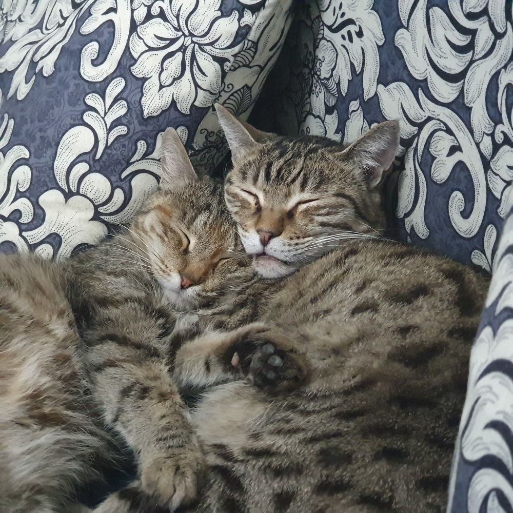 Photograph by Валентина Галич