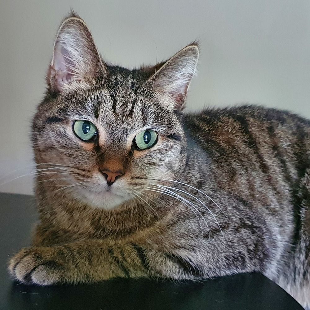 Photograph by Валентина Галич