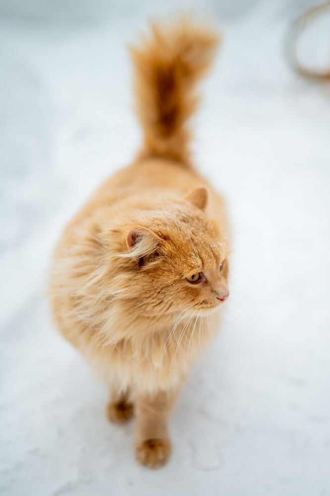 Photograph by Ольга Сесина