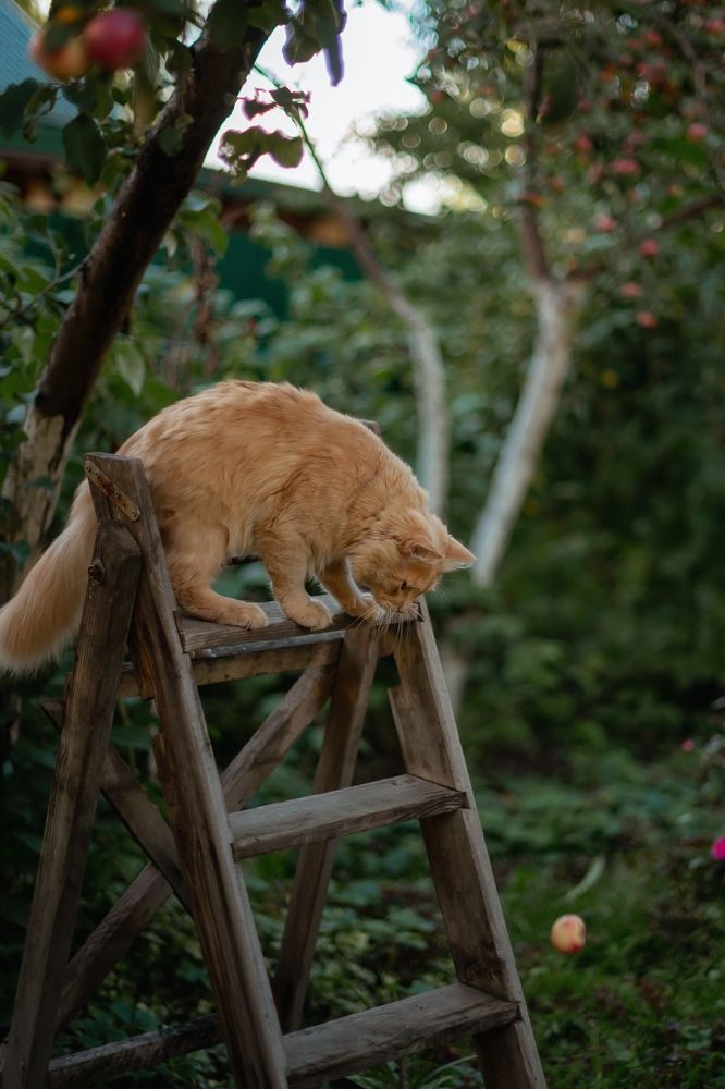 Photograph by Ольга Сесина