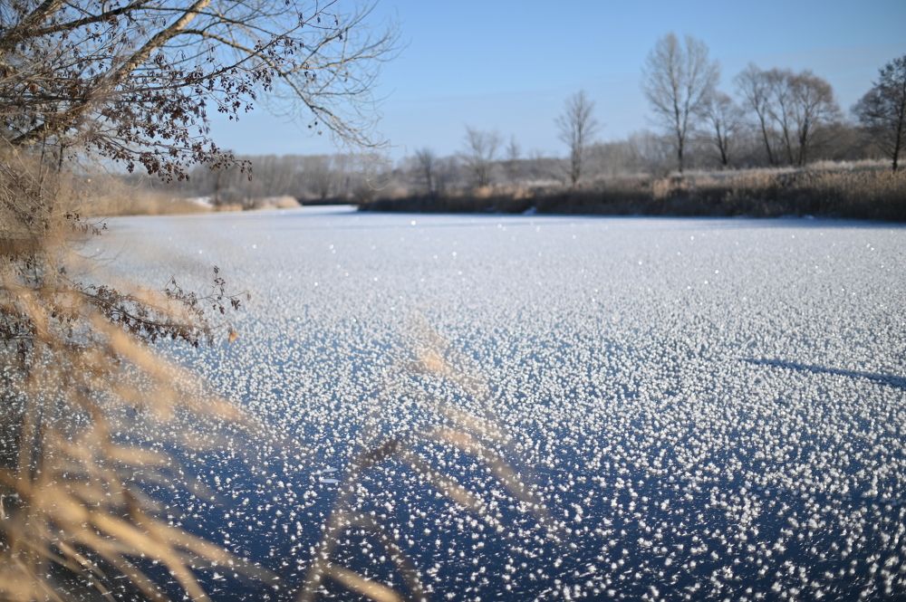 Photograph by Ленария Асянова