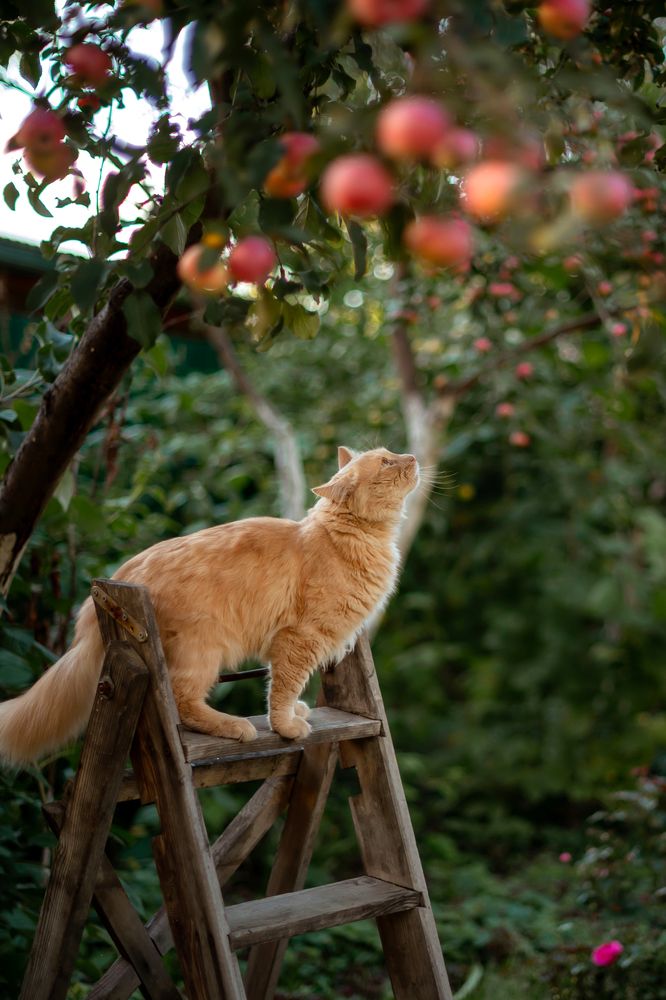 Photograph by Ольга Сесина