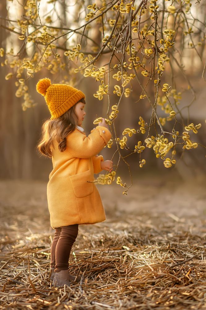 Фотография автора Елена Петрова