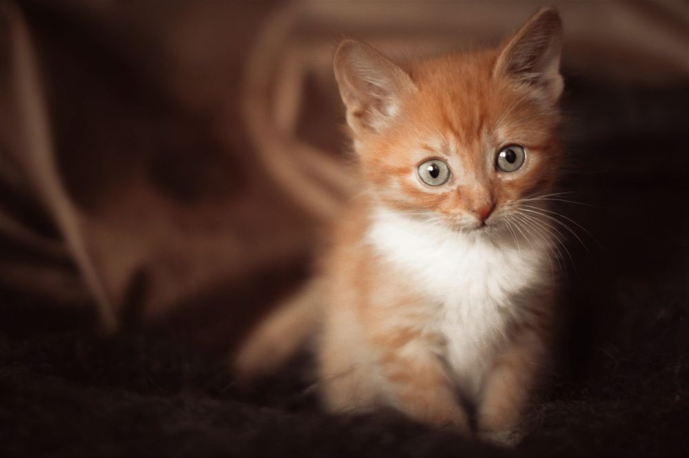 Photograph by Евгения Перегонцева