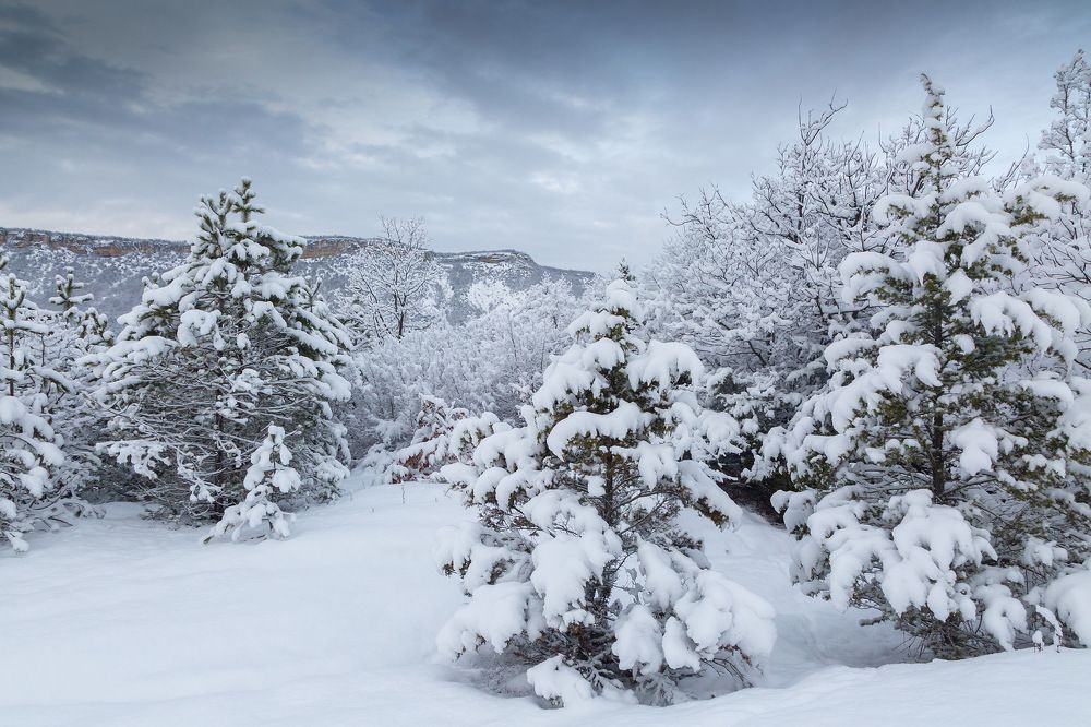 Photograph by Елена Покрепа