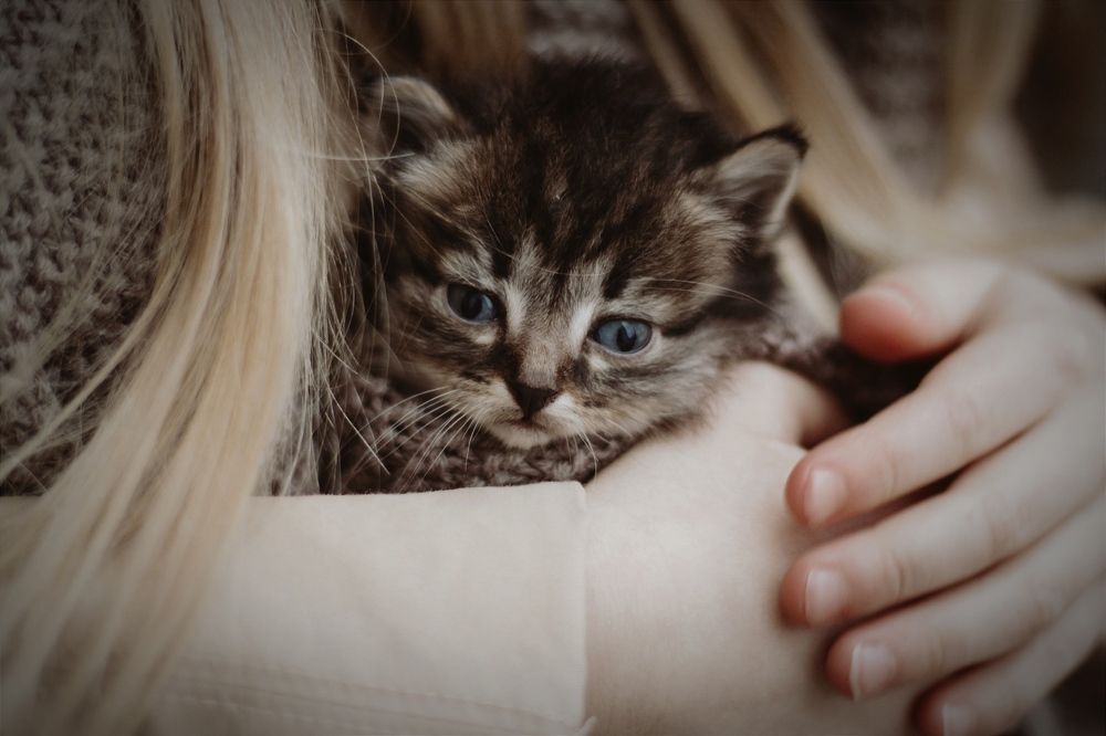 Photograph by Евгения Перегонцева