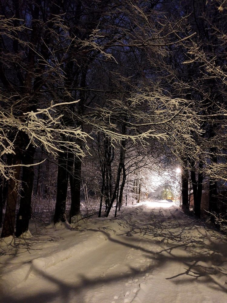 Фотография автора 