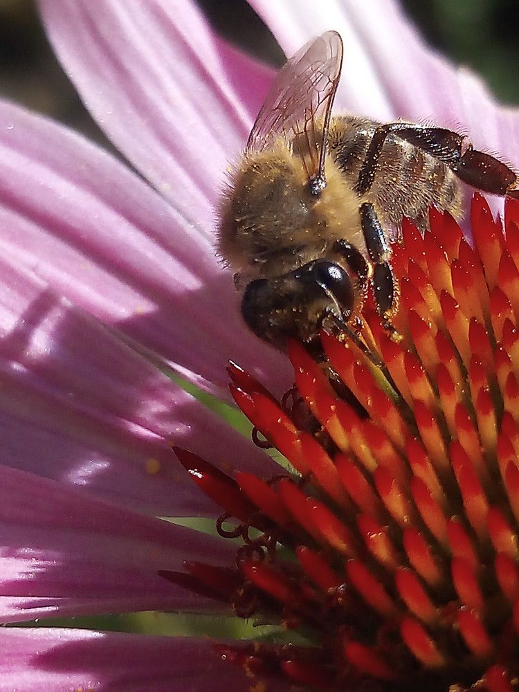 Photograph by Елена Мясникова