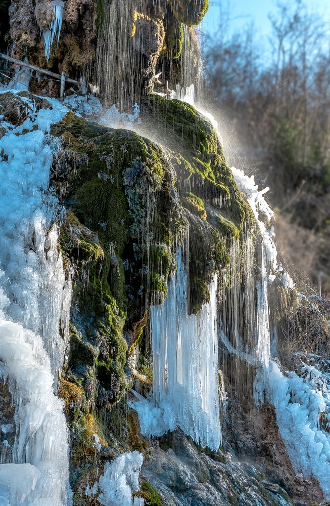 Photograph by Elena Vill