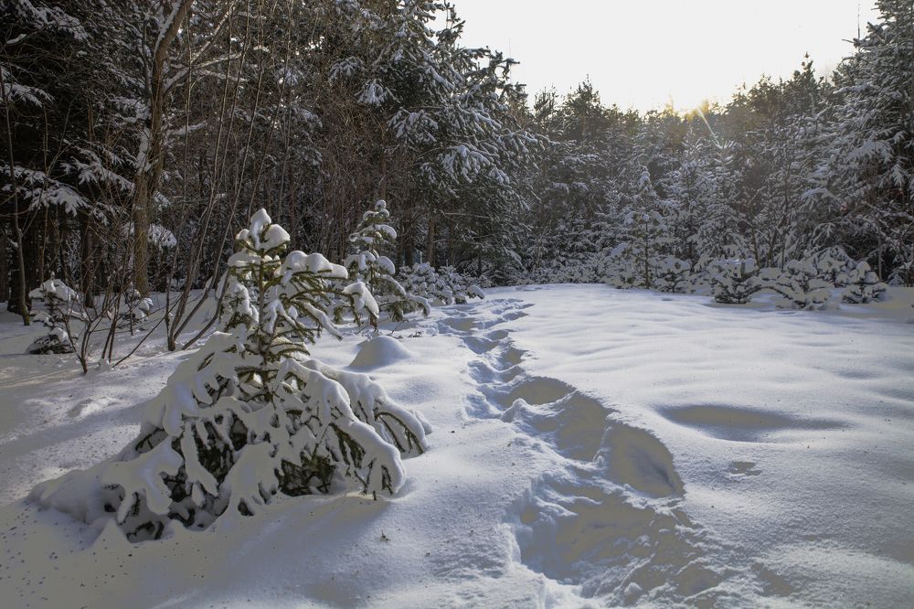 Photograph by Валерий Богачев