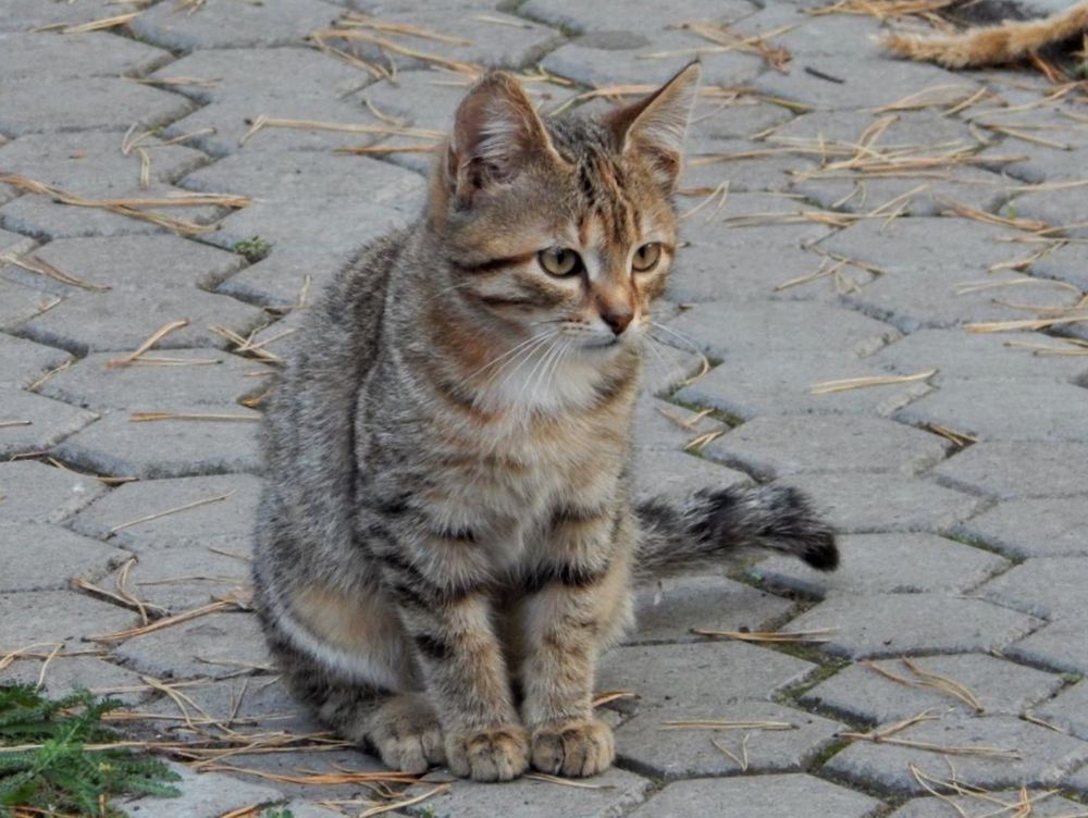 Photograph by Ирина Самойленко