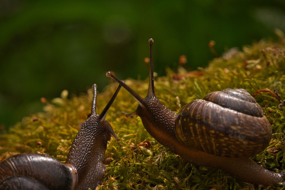 Photograph by Елена Константинова