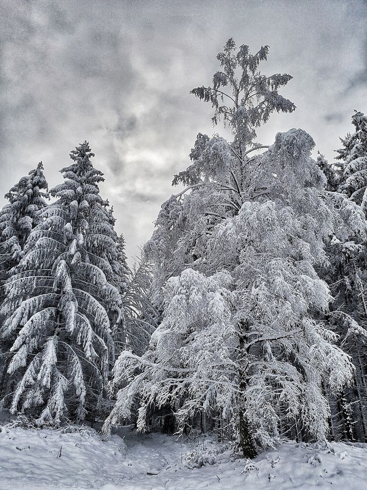 Photograph by Alexander Mishuris