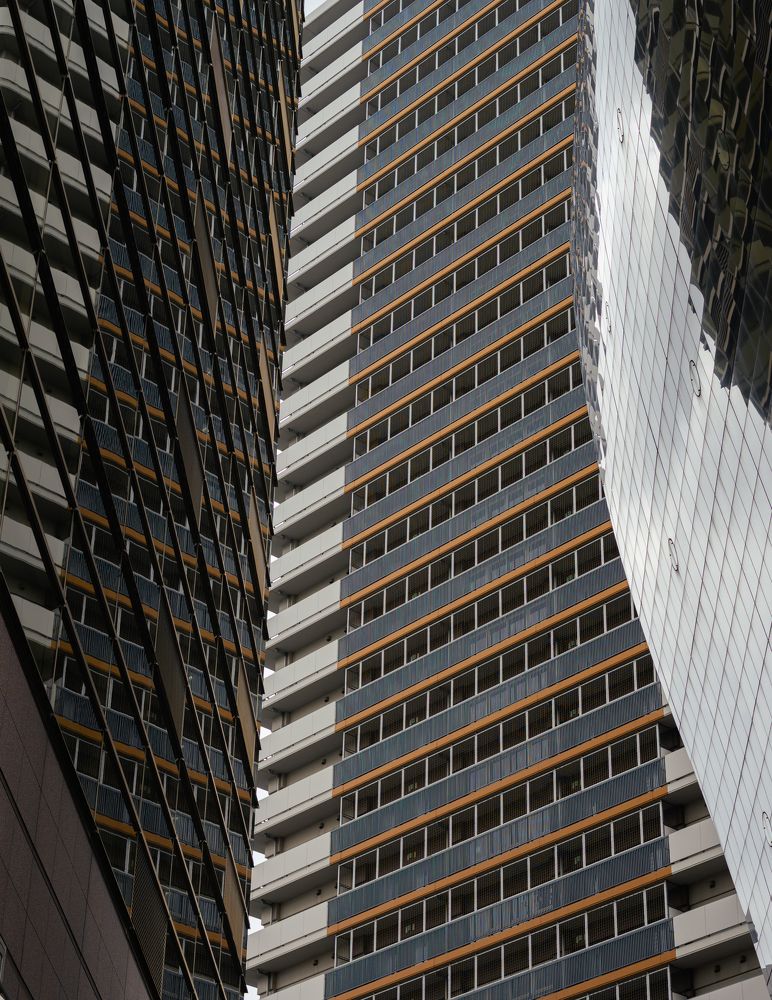 Photograph by Nishishimamto GEN