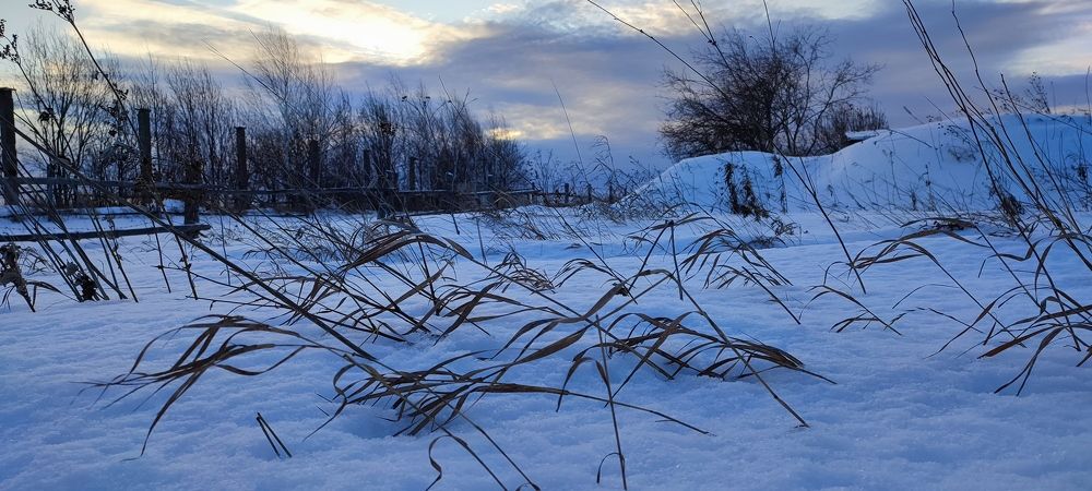 Photograph by Людмила Воропаева