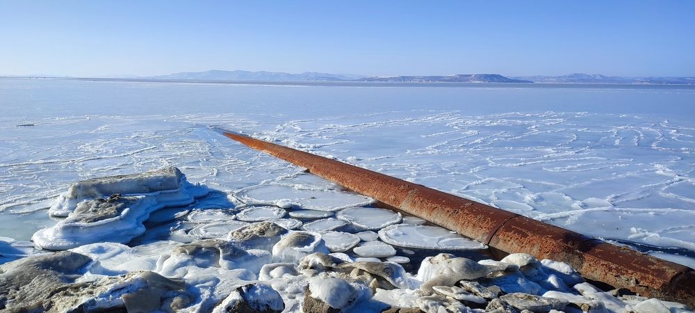 Photograph by Людмила Воропаева