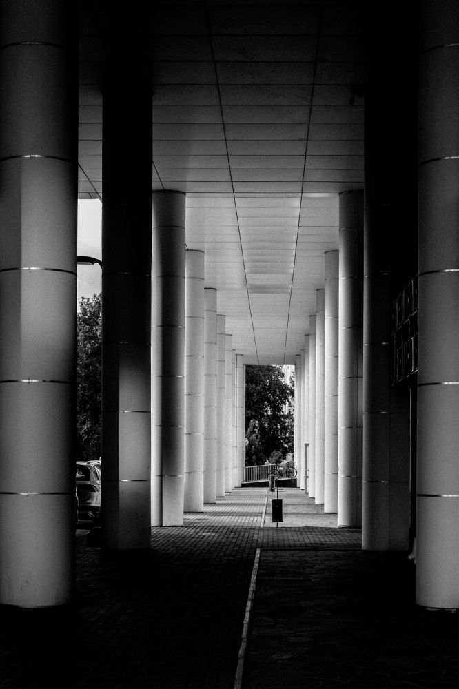 Photograph by Maxim Kuimov