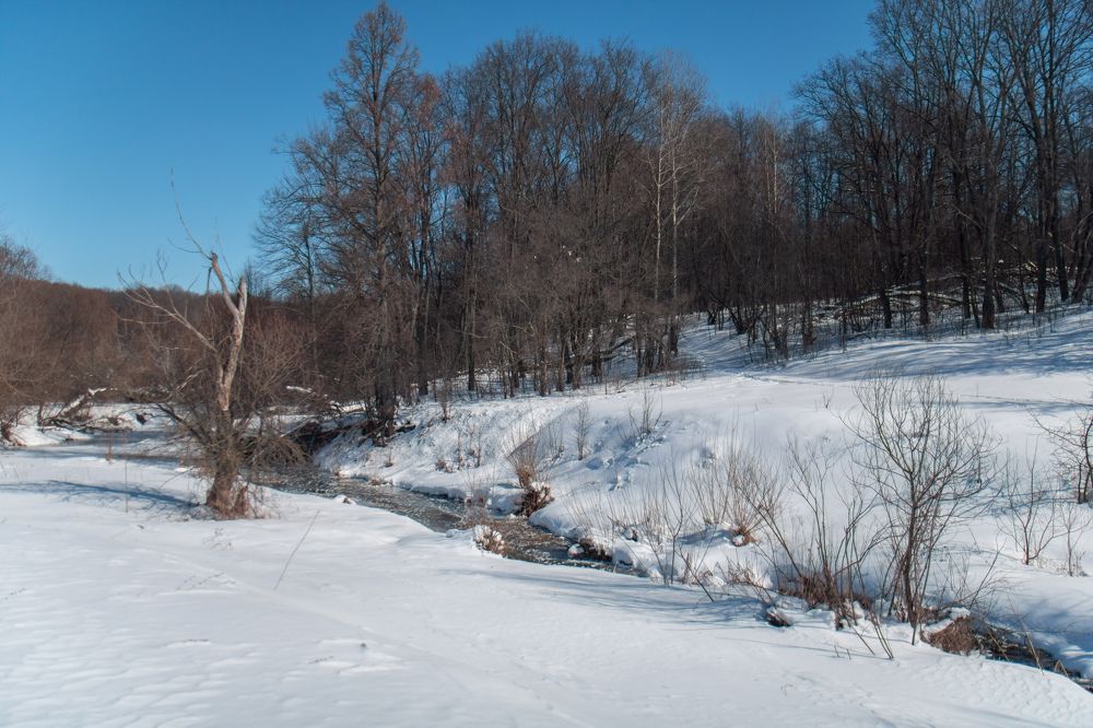 Photograph by Илья Малышев