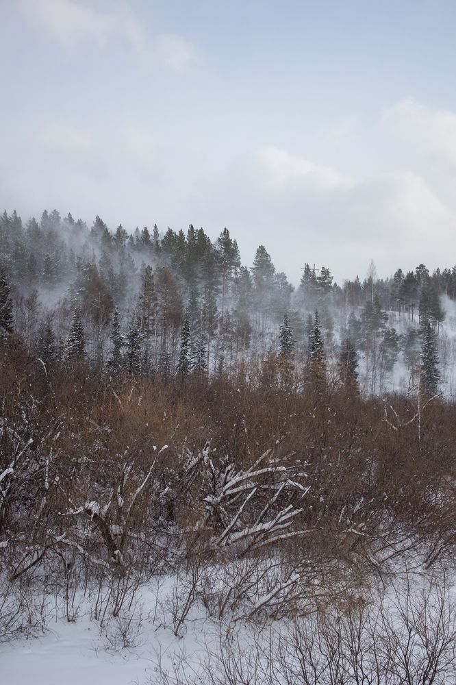 Photograph by Елена Федорова
