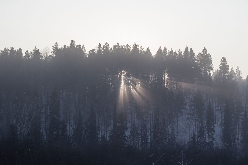 Photograph by Елена Федорова