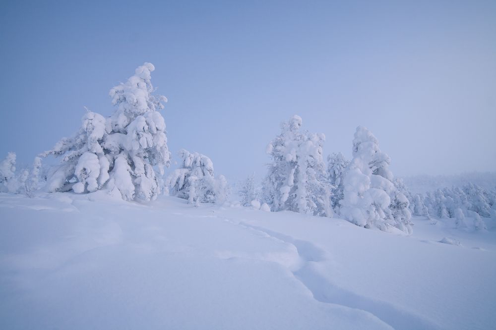 Photograph by Базуев Марк