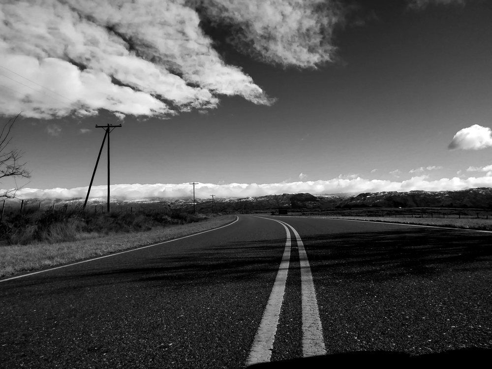 Photo #8756461