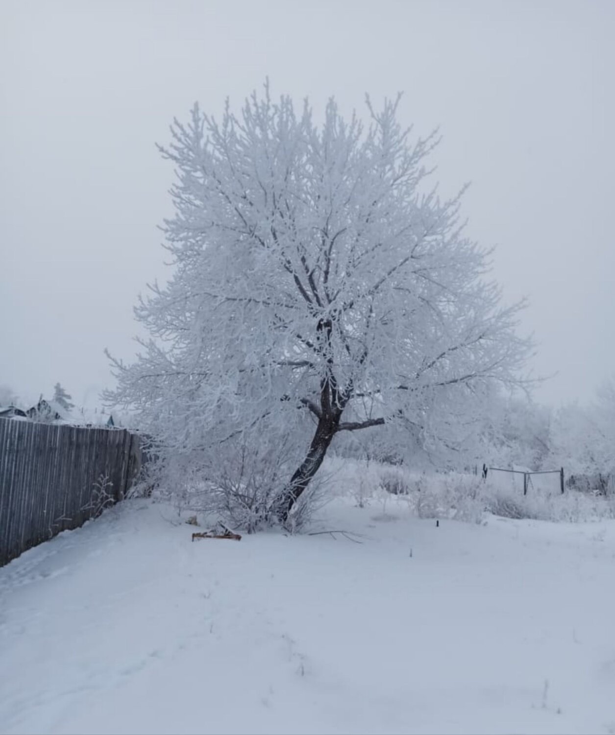 Photo #8756469